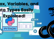 python-Syntax-Variables-and-Data-Types